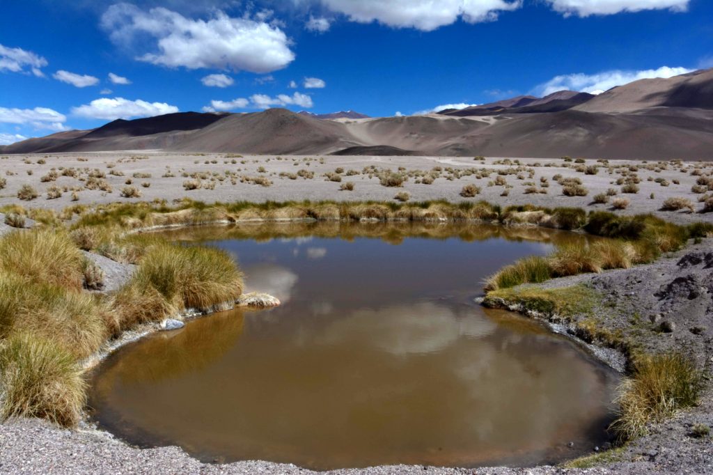 Ojos del Campo, Salar d&rsquo;Antofalla, Province du Catamarca, Argentine