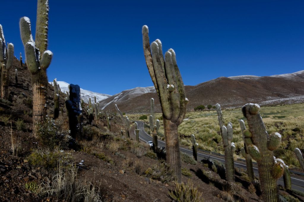 RP51 vers Salta, Province de Salta, Argentine