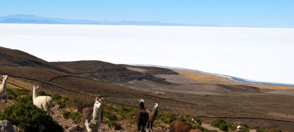 Salar d’Uyuni depuis le volcan Tunupa, Province du nord Lipez, Bolivie
