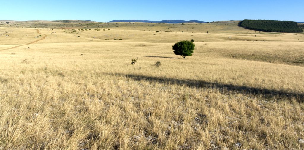 Causse Mejean, Lozère, France