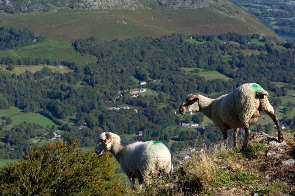 Paysages des Hautes Pyrénées, France
