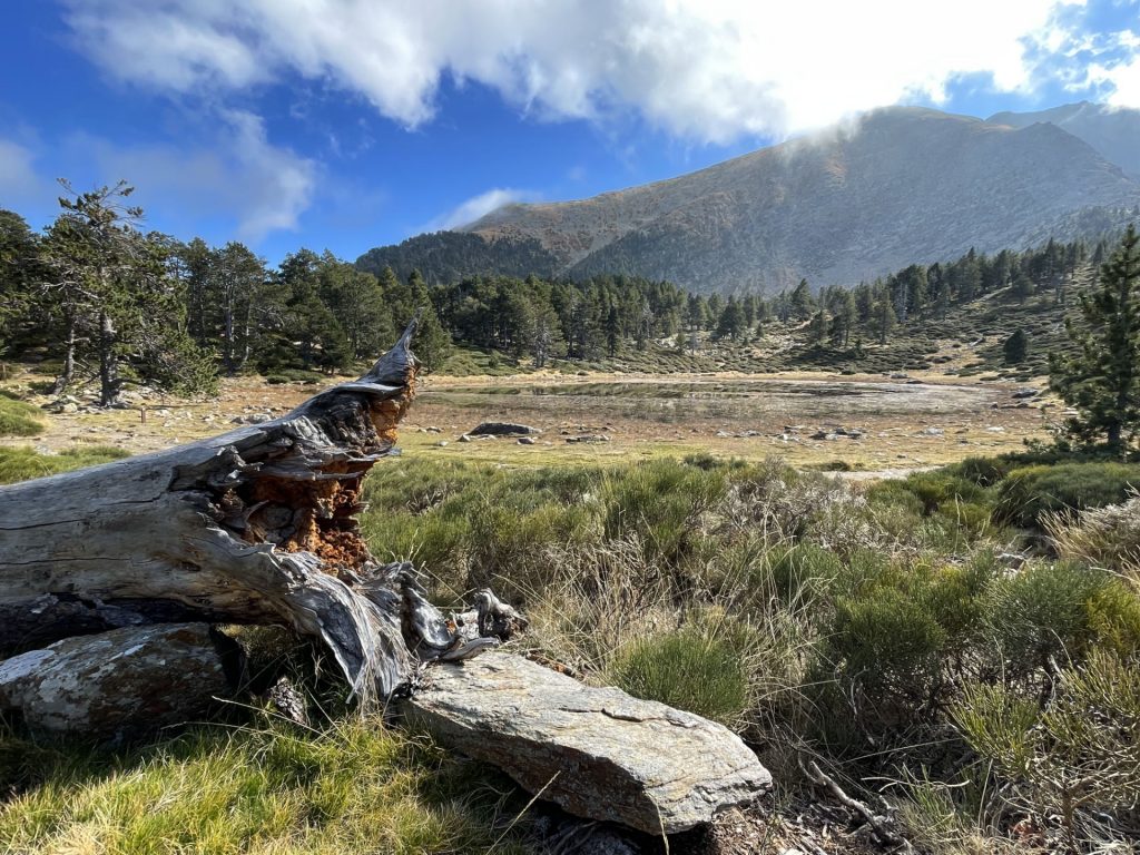 Massif du Canigou, Pyrenées orientales, France