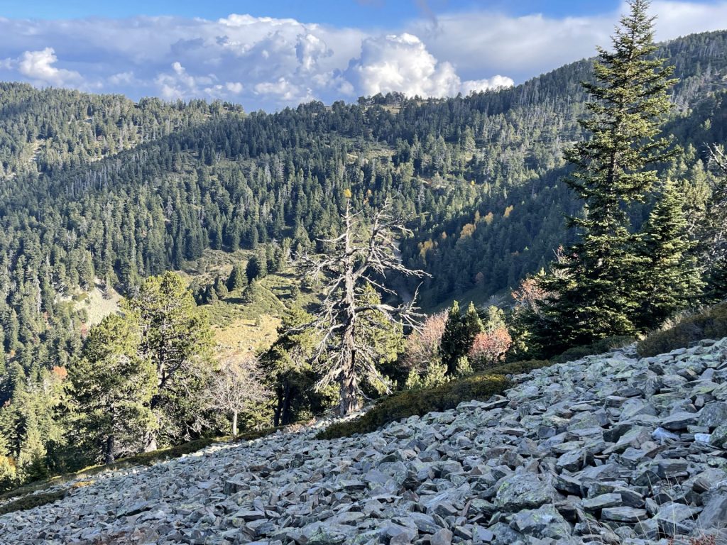 Massif du Canigou, Pyrenées orientales, France 2