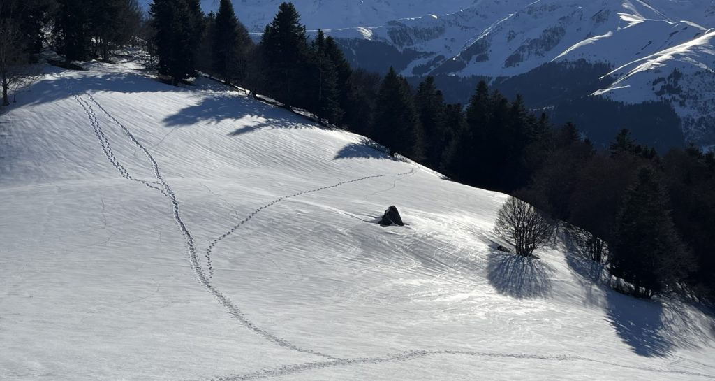 Cap de la Montagnette, vallée d’Oueil, haute Garonne,France
