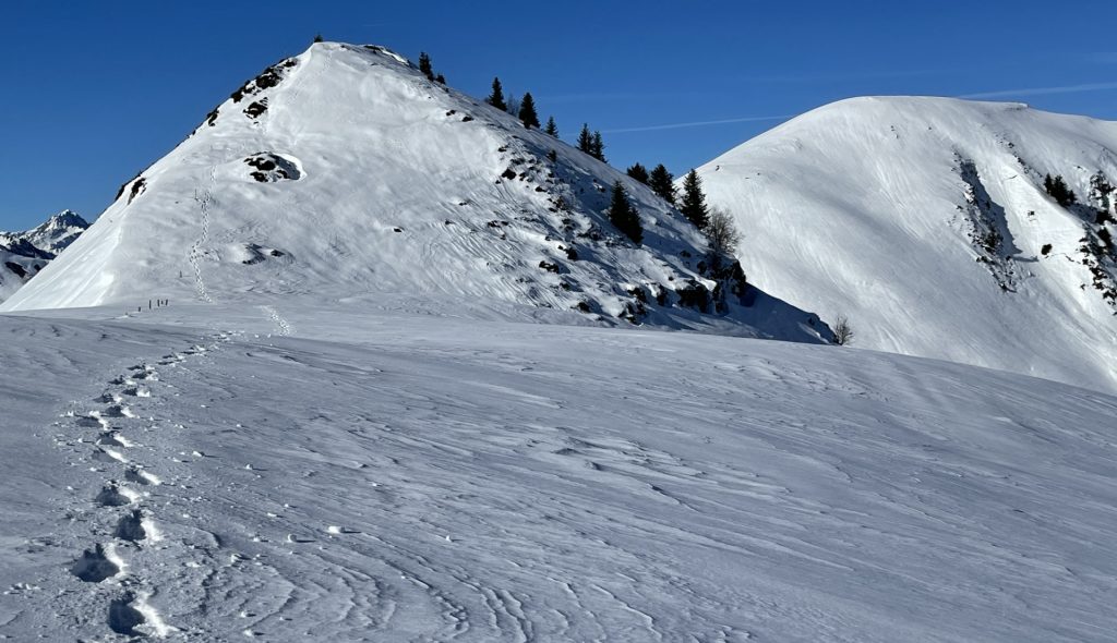 Cap du Pouy Pradaus, vallée d’Oueil, Haute Garonne, France