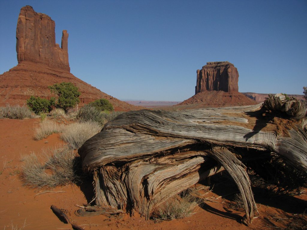 East Mitten et Merrick Buttes, Monument Valley, Utah, Etats Unis