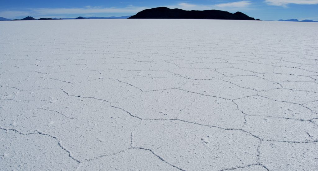 Isla del Pescado, Salar d’Uyuni, Province du nord Lipez, Bolivie