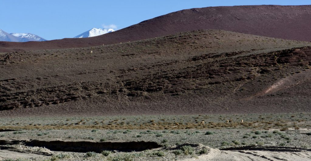 La Puna, Province de Catamarca, Argentine 4