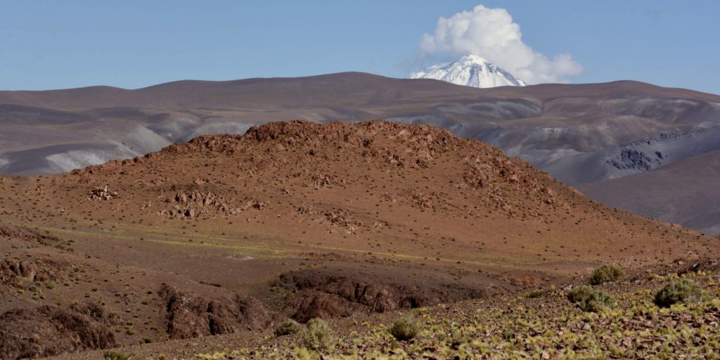 La Puna, province de Catamarca,  Argentine 6