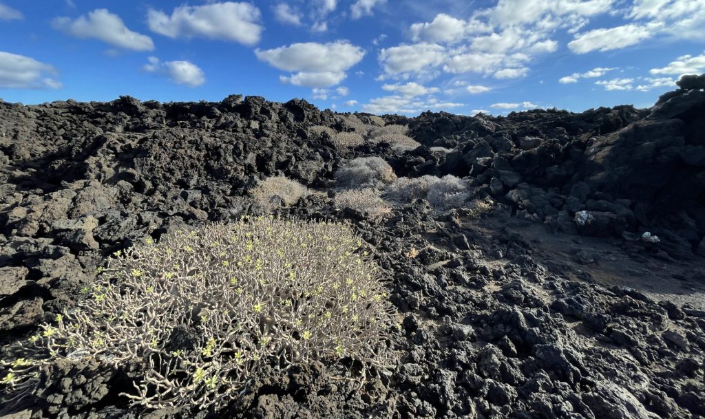 Lanzarote, Les Canaries, Espagne