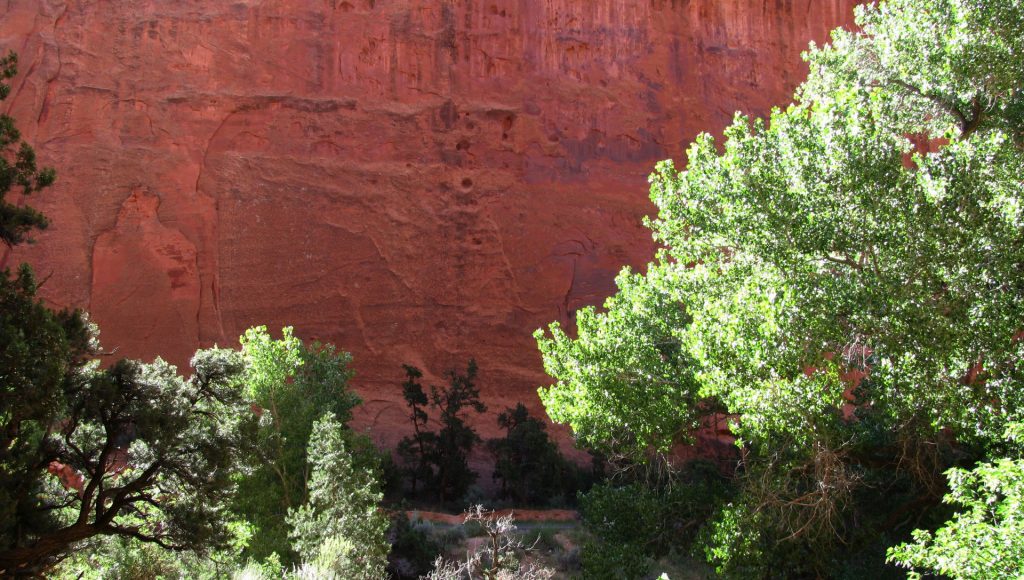 Paysages depuis la route 12, Utah, Etats Unis 2