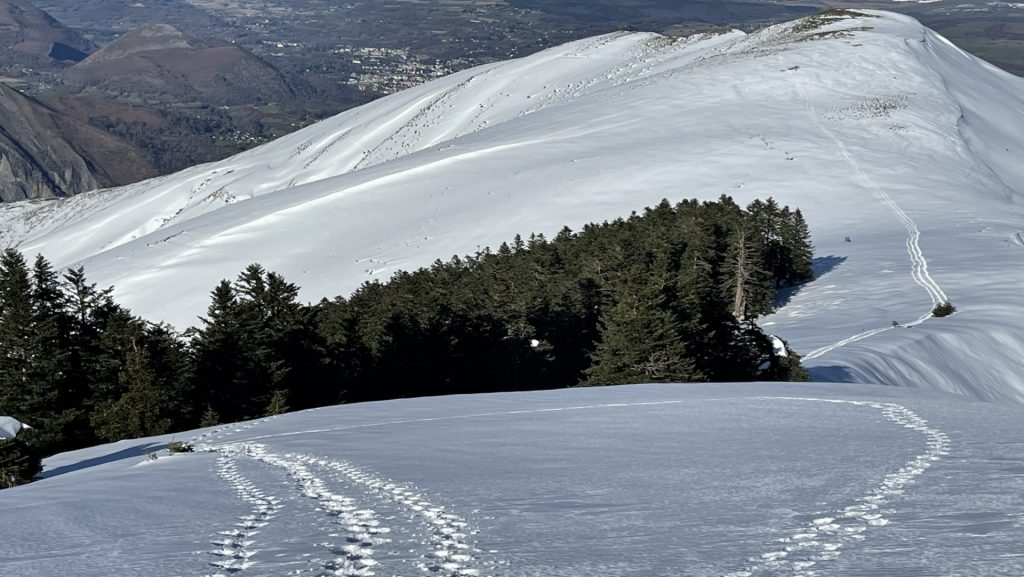 Soûl de Trezeres, Argeles Gazost, Hautes Pyrénées, France