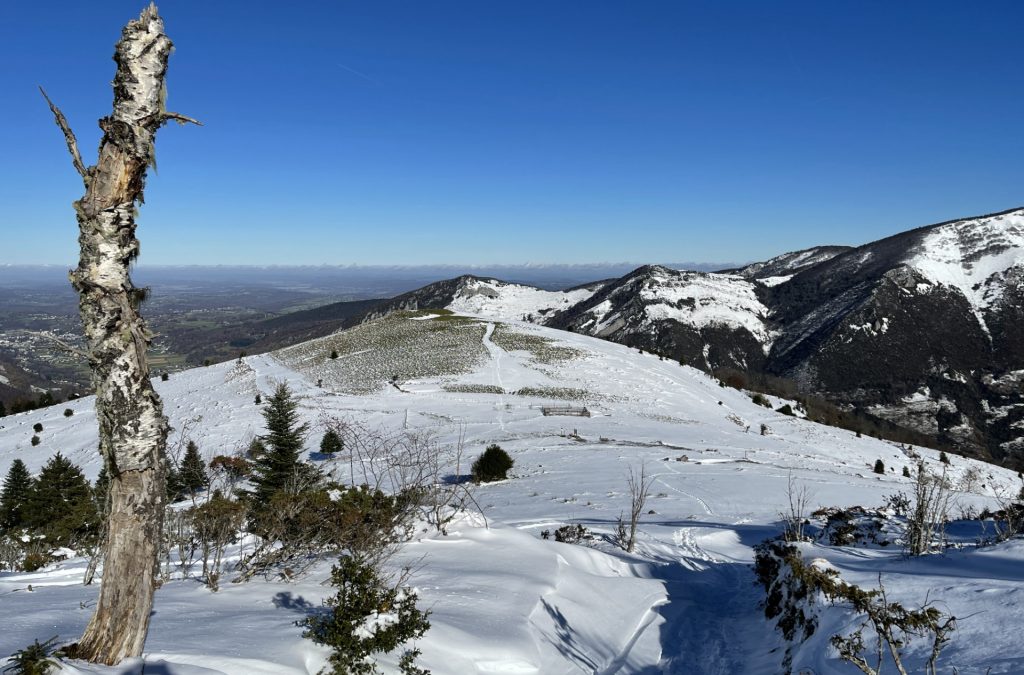Vallée de Campan, Hautes Pyrénées, France 2