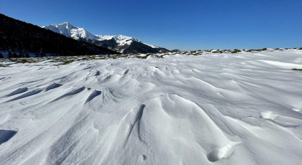 Vallée de Campan, Hautes Pyrénées, France 3