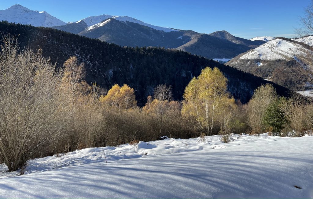 Vallée de Campan, Hautes Pyrénées, France 8