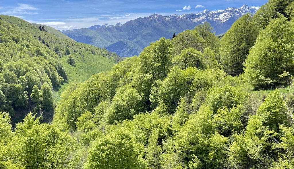 Vallée du Larboust, Haute-Garonne, France