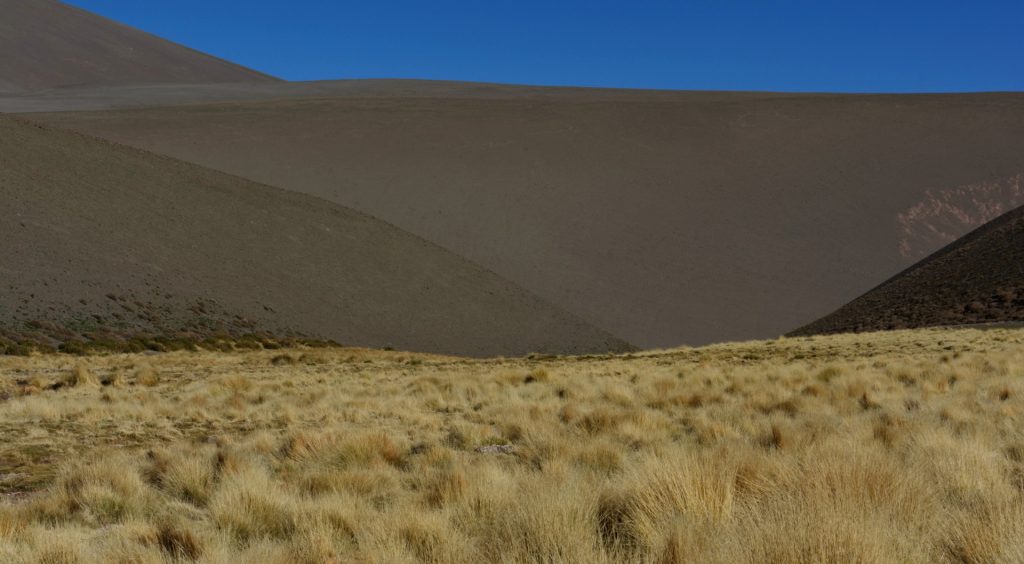 La Puna, Province de Catamarca, Argentine 2