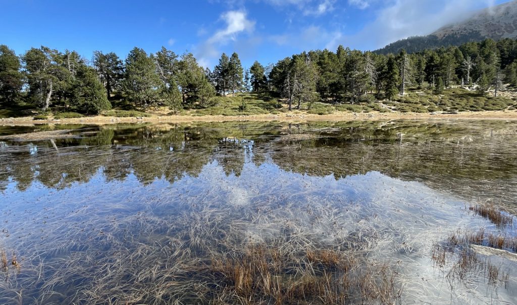 Massif du Canigou, Pyrenées orientales, France