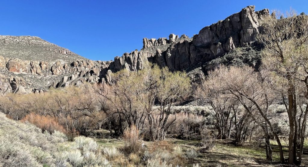 Echo Canyon State Recreation Area, Rose Valley, Nevada, États Unis 2