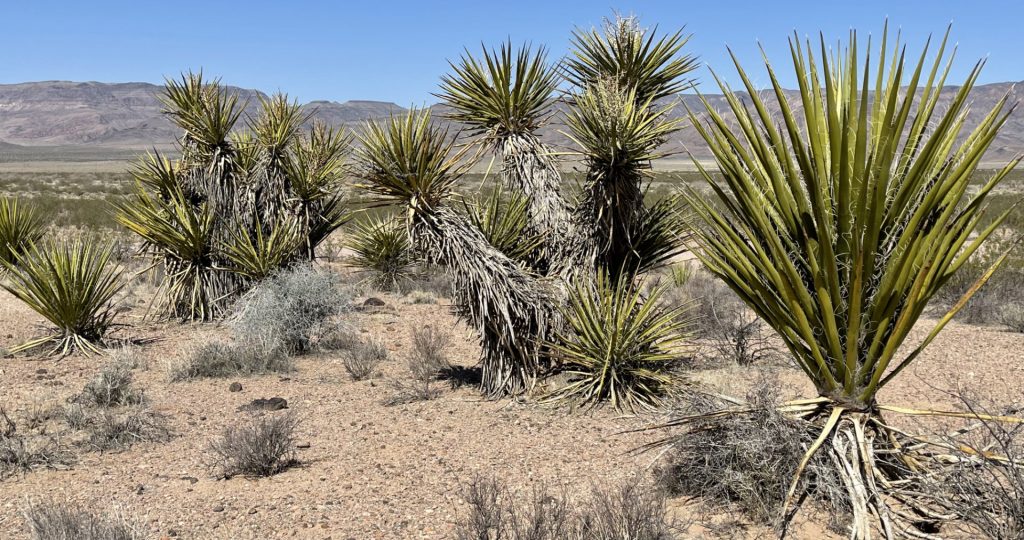 Kane Spring Valley, Nevada, États Unis
