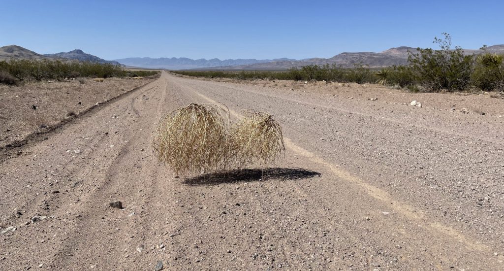 Kane Spring Valley, Nevada, États Unis 2