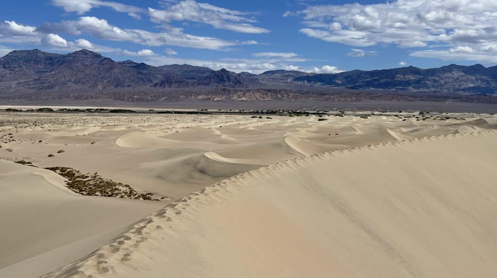 Mesquite Flat Sand Dunes, Death Valley Park, Californie, États Unis 3
