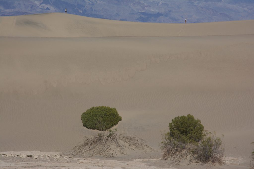 Mesquite Flat Sand Dunes, Death Valley Park, Californie, États Unis 5