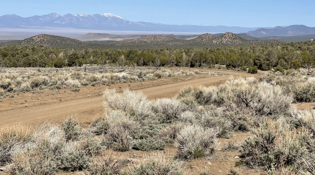 Mount Wilson Scenic Byway, Nevada, États Unis
