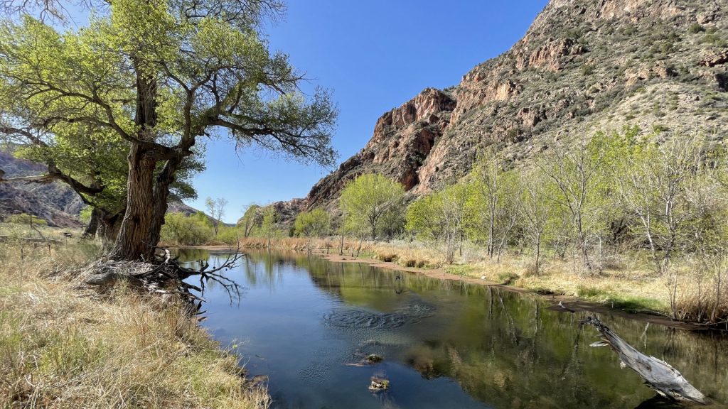 Rainbow Canyon, Meadow Valley Wash, Caliente, Nevada, États Unis 2