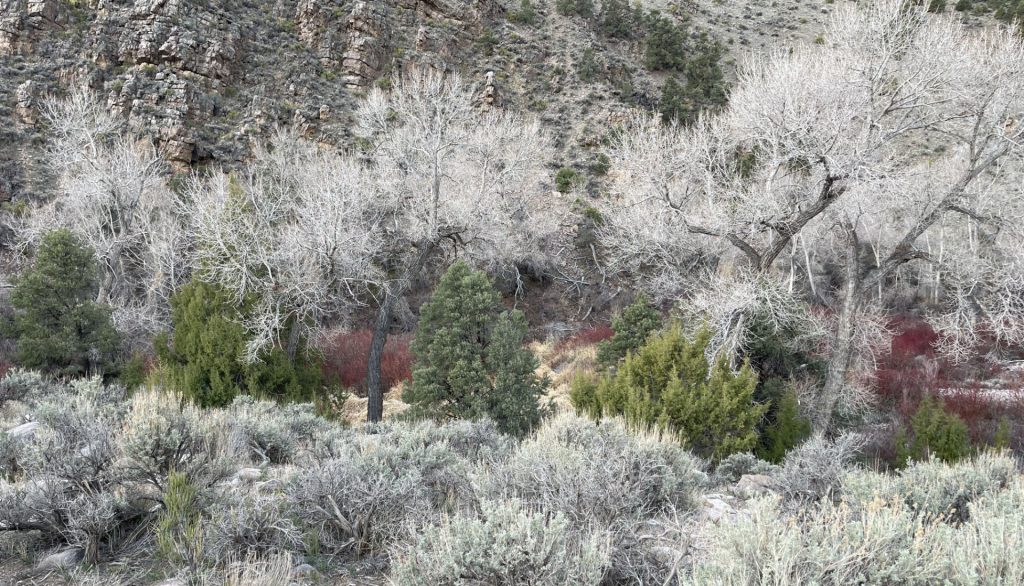 Spring Valley, Nevada, États Unis 6