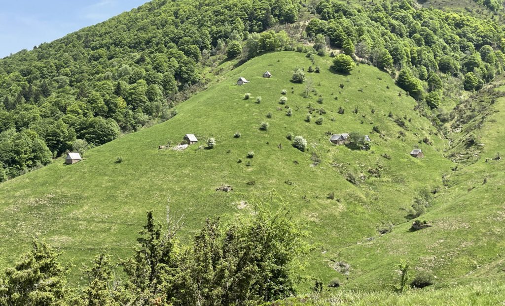 Alpage Ariégeois, France