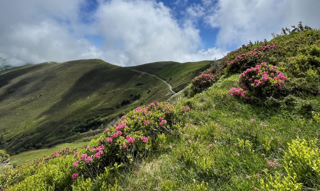 Crete de Laudège, Pyrénées Atlantiques, France