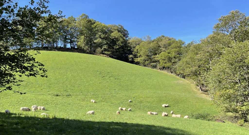 Paysages Basques, Arneguy, Pyrénées Atlantiques 2