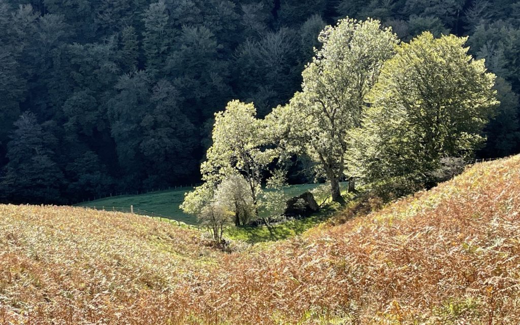 Paysages Basques, Arneguy, Pyrénées Atlantiques 4