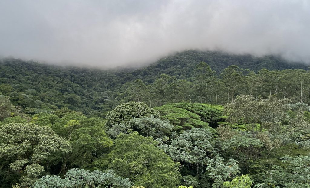 Arenal National Park, Costa Rica