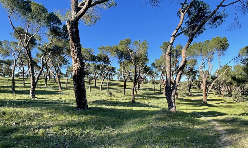 Casa de campo, Madrid, Espagne
