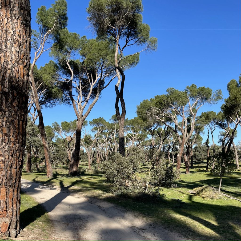 Casa de campo, Madrid, Espagne 2