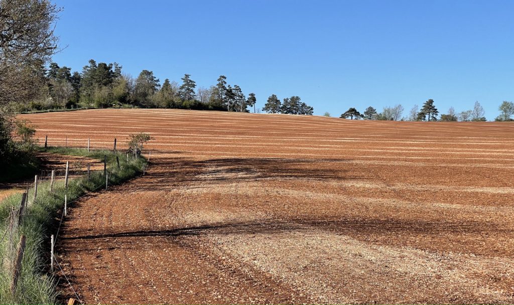 Causse Sauveterre, Lozère, France 5