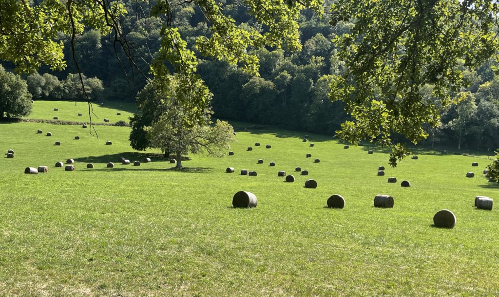Paysage Pyrénéen, France