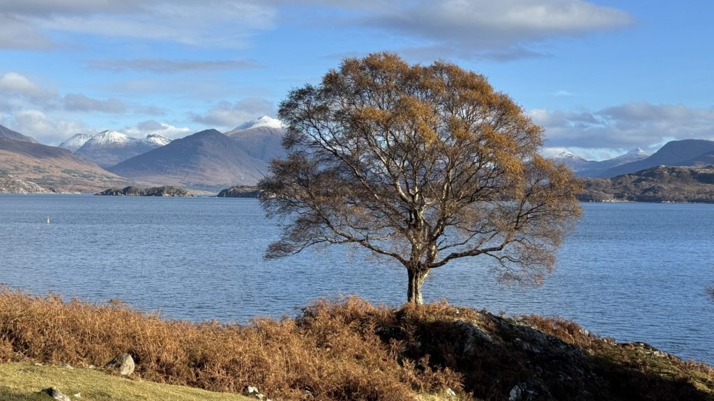 Upper Lock Torridon, Highlands, Ecosse 2