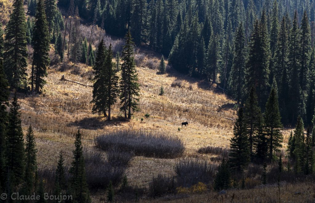 Elan, South Mineral Valley, Colorado, Etats-Unis