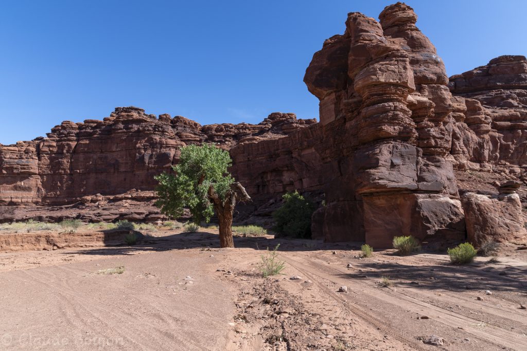Lathrop Canyon Road, White Rim, Canyonlands National Park, Utah, Etats Unis