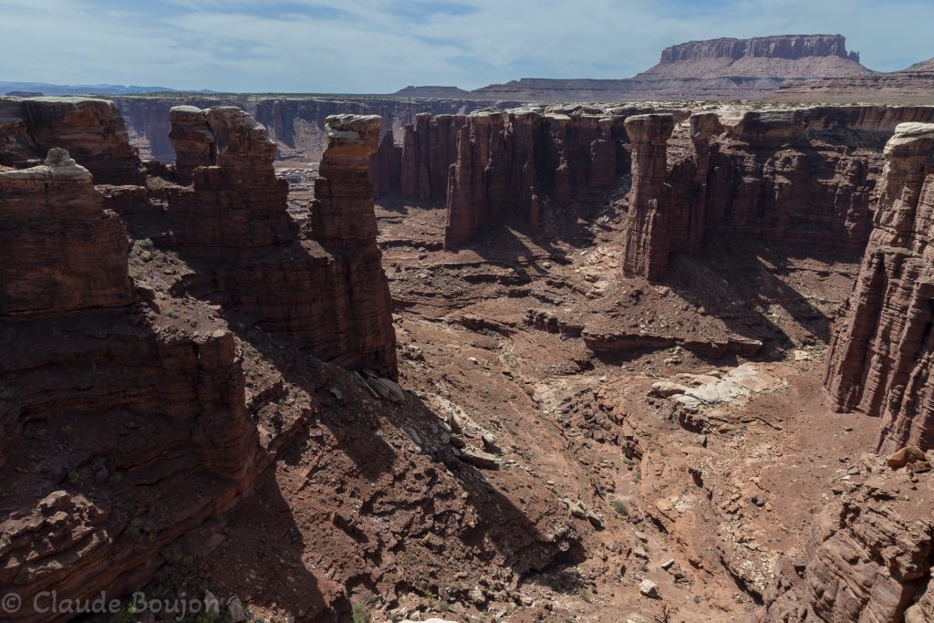 White Rim, Canyonlands National park, Utah, Etats Unis