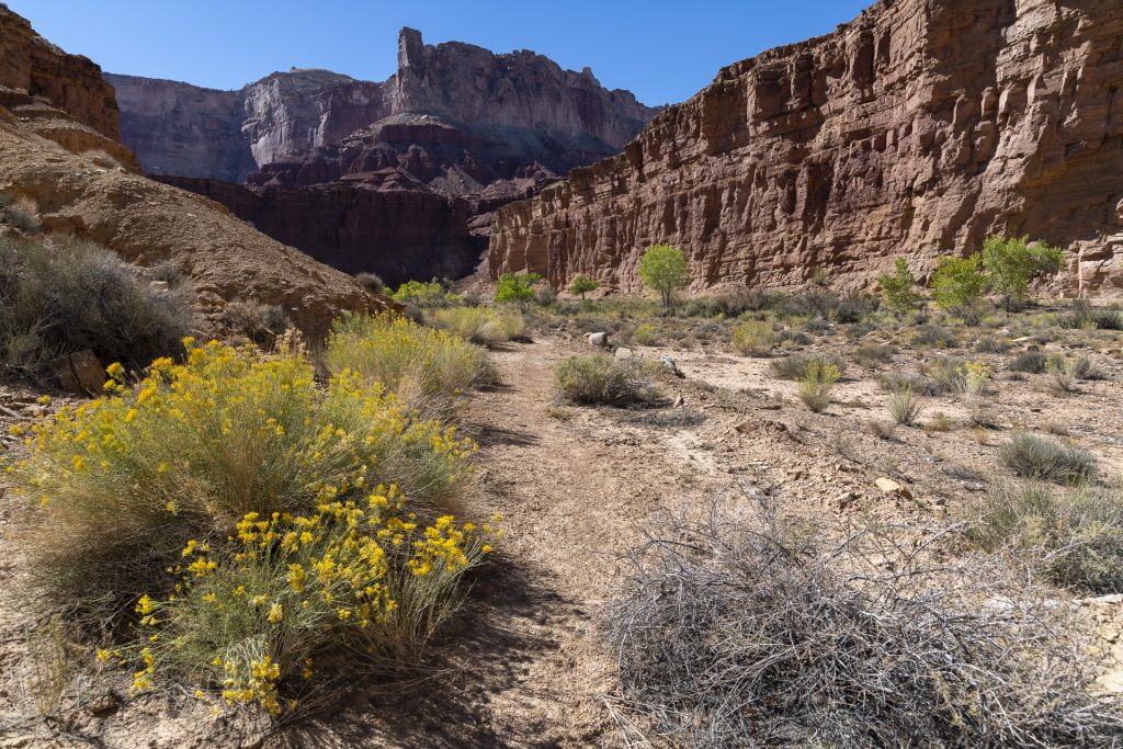 Muddy river Trail, San Rafael Swell, Utah, Etats Unis