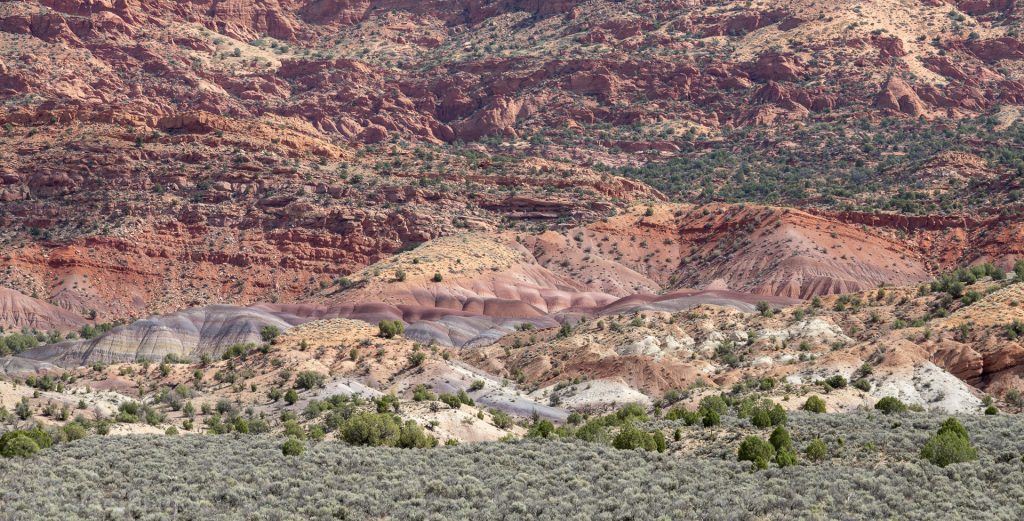Winter Road, Vermillon Cliffs National Monument, Arizona, Etats Unis