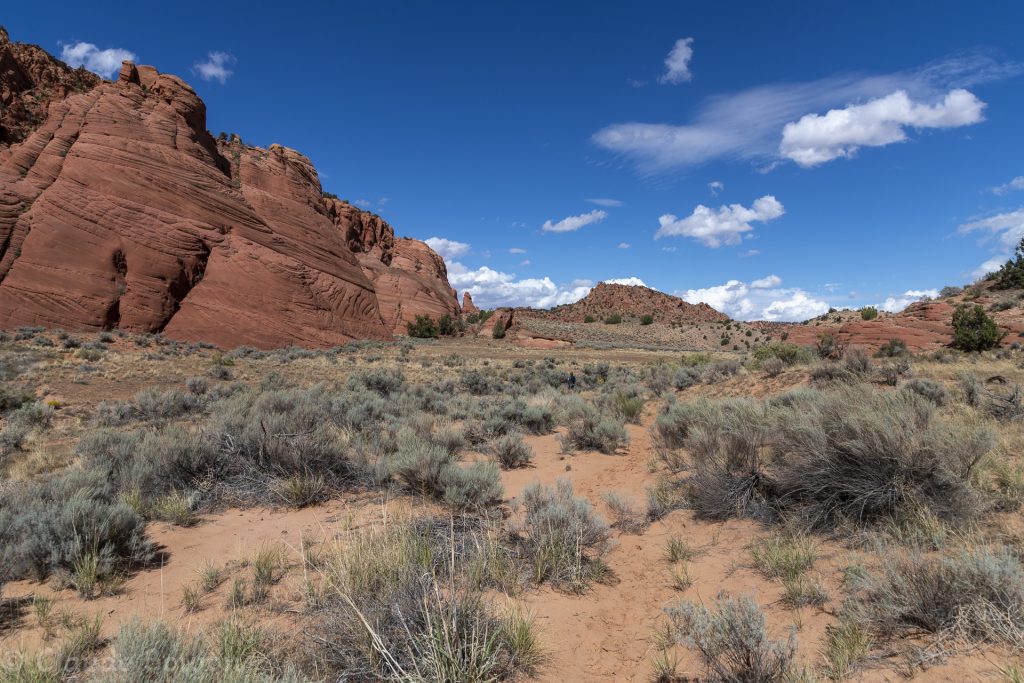 Upper Buckskin Gulch trail, Paria Canyon Vermillon Cliffs, Utah, Etats Unis