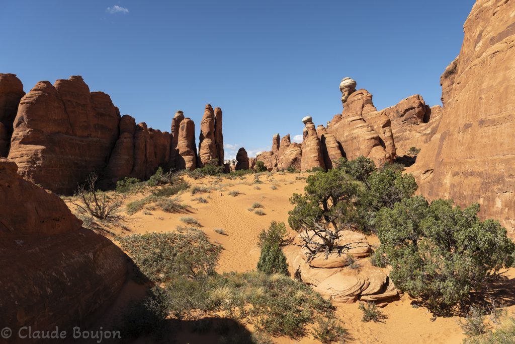 Klondike Bluffs Trail, Arches National Park, Utah, Etats Unis