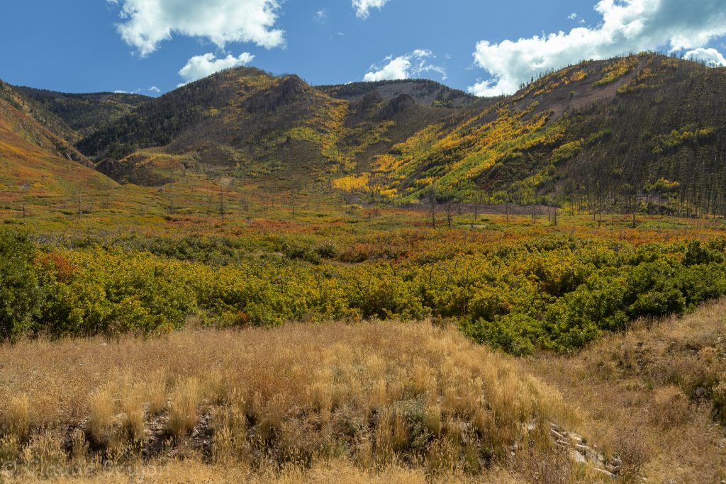 Loop Road, Utah, États Unis
