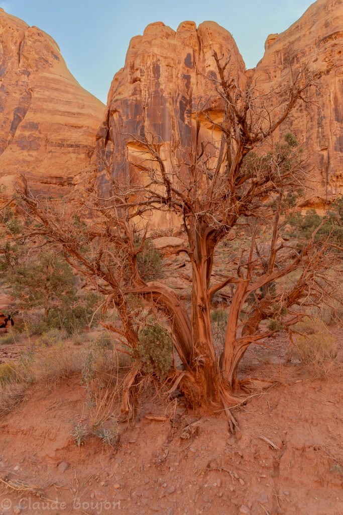Gemini Bridges Road, Utah, États Unis