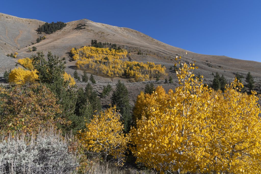 Nasty Flat Road, Henry Mountains, Utah, États Unis